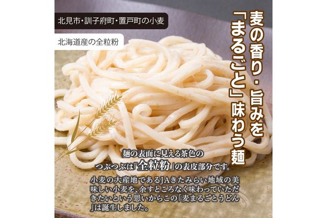 JAきたみらい「玉ねぎ醤油と麦まるごとうどんのセット」 ( 醤油 うどん 玉ねぎ 麺 )【005-0011】