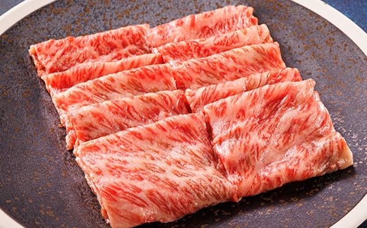 【定期便 6ケ月連続】 黒毛和牛 肩ロース 切り落とし 100g×10コ 1kg | 国産（北海道産） すき焼き しゃぶしゃぶ にも最適 牛肉の 小分けが嬉しい！ 北海道 釧路町 肩ロース 和牛 国産 訳あり 小分け 冷凍 定期便 北海道 釧路町 釧路超 肉 絶品 人気 ヒロセ 北海道 釧路町 釧路超 特産品 121-1262-143-003