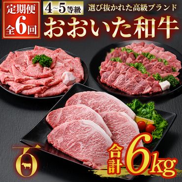 定期便・全4回＞おおいた和牛 希少 赤身 焼肉 お楽しみ 定期便 (3ヶ月