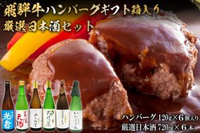 9-7　飛騨牛 ハンバーグ120g×6個入り　+　厳選日本酒720ml×6本【0026-076】