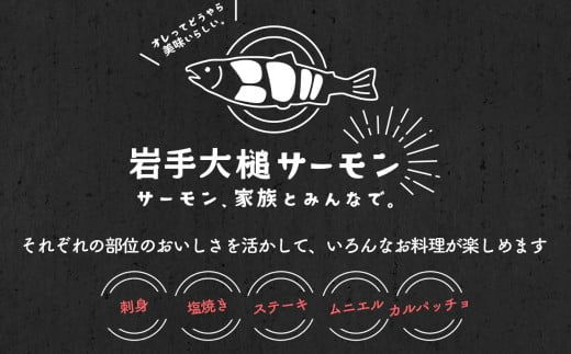 岩手大槌サーモン ～家族とみんなで。～ 800g｜サーモン国産 刺身 刺身冷凍 小分け サーモン 冷凍 岩手県大槌町【0tsuchi01311】