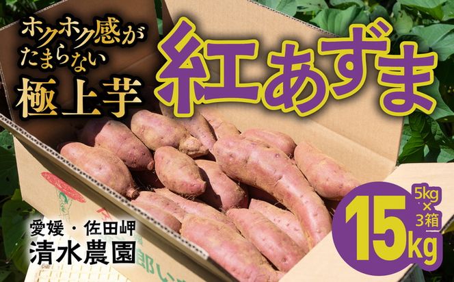 愛媛県伊方町産　瀬戸の紅あずま15kg（5kg×3箱） | さつまいも　サツマイモ　芋 ※着日指定不可 ※離島への配送不可