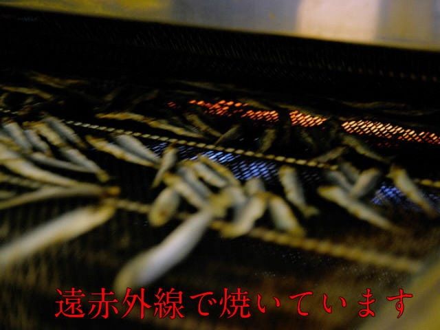焼うるめ500g　袋入り