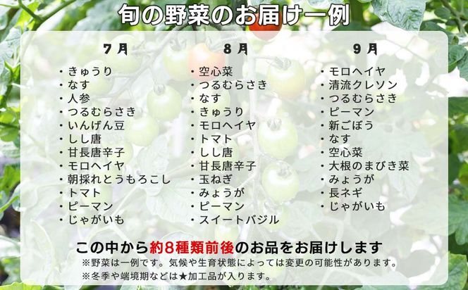 【3回定期便】西粟倉産 「旬の野菜 おまかせセット」 F-FF-B01A