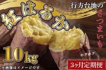 CU-193 【定期便】【3ヵ月】無選別　行方台地のさつまいも　紅はるか10kg