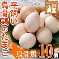 平飼い烏骨鶏のたまご (計10個) 元さん農園 卵 玉子 卵かけご飯 玉子焼き 平飼い 鶏 鶏卵 養鶏場直送 朝採れ 新鮮 大分県 佐伯市 【GE003】【 (株)海九】