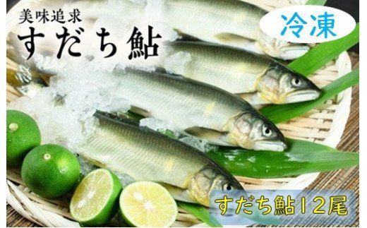 阿波の鮎　美味追求　すだち鮎12尾　(冷凍)