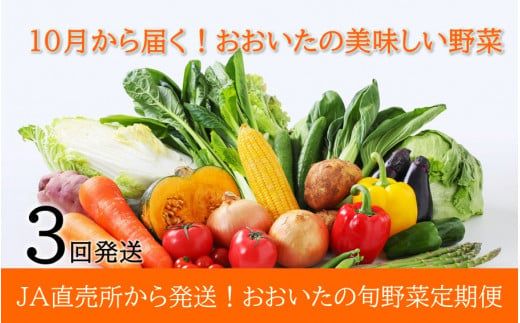 10月からお届け!おおいたの旬野菜定期便/計3回発送_2396R