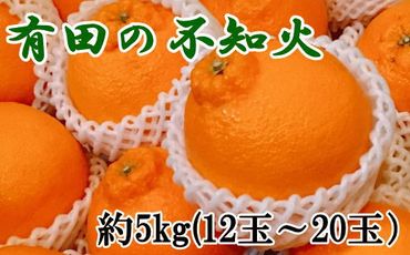【濃厚】有田の不知火約5kg（12玉～20玉） ※2024年2月上旬～3月下旬頃に順次発送予定
