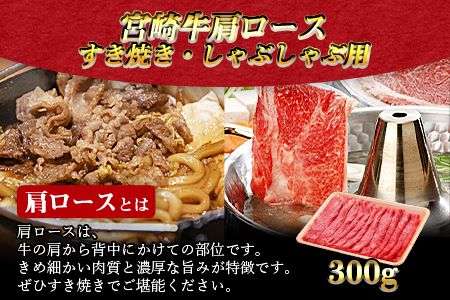 ＜3か月定期便 宮崎牛お試しセット＞翌月末迄に第一回目発送【a0320_em_x3】