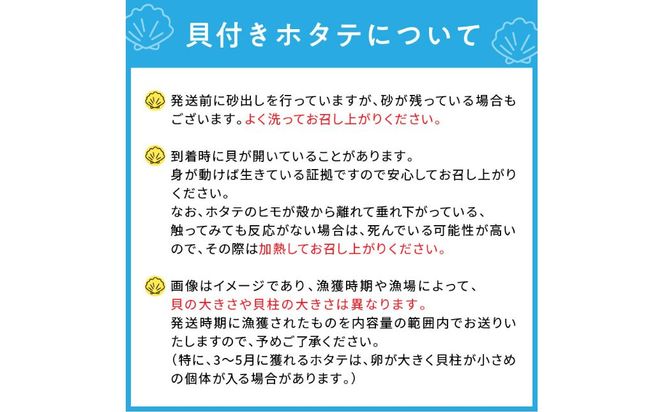 オホーツク貝付きほたて 5kg(30枚～50枚)( 海鮮 魚介 魚介類 貝 貝類 ホタテ ほたて 帆立 殻付き 貝柱 贈答 ギフト 贈り物 お中元 お祝い BBQ バーベキュー )【031-0013】