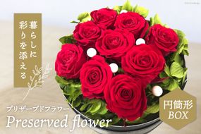 プリザーブドフラワー 円筒形BOX 花 ギフト プレゼント 贈答 母の日 [littleprincess 吉井圭香 石川県 宝達志水町 38600025]