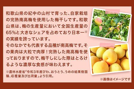 紀州南高梅使用 はちみつうす塩味完熟梅干し 800g 厳選館 《90日以内に出荷予定(土日祝除く)》 和歌山県 日高川町 紀州南高梅 はちみつうす塩 梅干し---wshg_tmt182_90d_24_14000_1p---