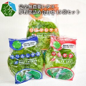 【F01003】完全無農薬レタス　夢野菜詰め合わせ15袋セット