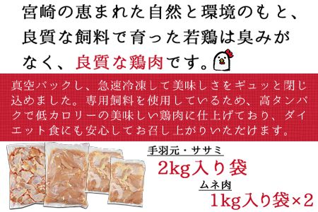 ＜宮崎県産若鶏3種 計6kgセット＞翌月末迄に順次出荷【c504_hn_x3】