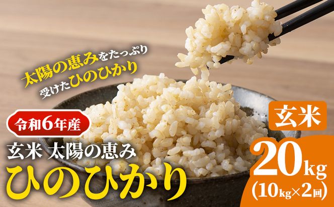 【令和6年産 予約受付】玄米 岡山県産 ひのひかり 笠岡産 20kg(10kg×2回)《10月下旬-9月下旬頃出荷》農事組合法人奥山営農組合 太陽の恵み---O-06_20k_玄米---