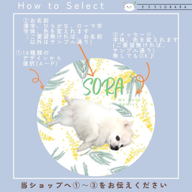 うちの子大好きセット オリジナルプチ缶3個+シール3シート 《 ペットグッズ 犬 容器 小物入れ 缶 シール オリジナル ステッカー セット 》【2401N13302】