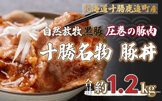 ykCǒzǎY Rq ̓ؓ \ ؘ SKN007