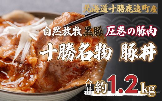 鹿追産 自然放牧黒豚 圧巻の豚肉 十勝名物 豚丼 SKN007