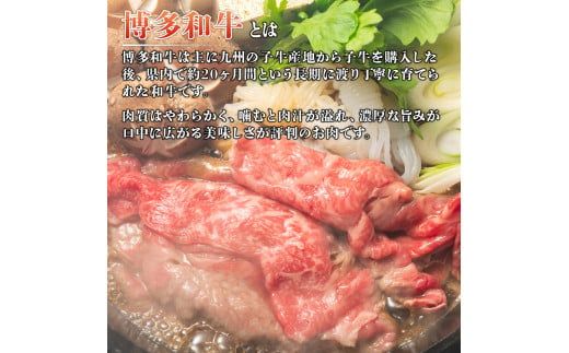 訳アリ！博多和牛切り落とし　5kg(500g×10p）