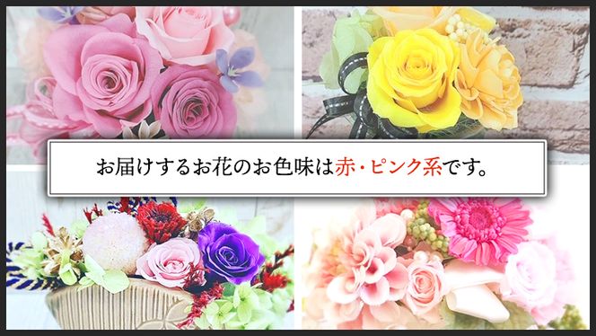 【 母の日 】 赤 ・ ピンク 系 プリザーブド フラワー S ギフト プレゼント 花 お祝い 贈答 記念日 [CT070ci01]