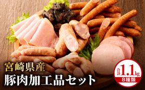 宮崎県産豚肉加工品セット（合計1.1ｋｇ 8種類）_M009-009