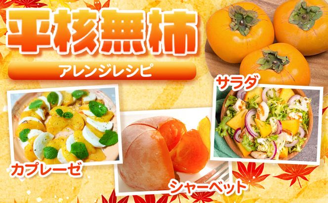 秀品 和歌山秋の味覚平核無柿(ひらたねなしがき) 選べる 約2kg 約4kg 化粧箱入 株式会社魚鶴商店《2026年10月上旬-11月上旬頃出荷》 和歌山県 日高町 柿 カキ かき たねなし ジューシー フルーツ---wsh_uot72_10j11j_25_11000_2kg---