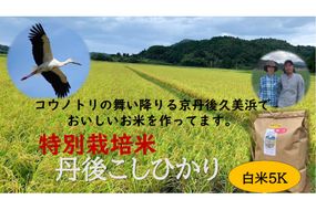 【定期便】白米5kg×6か月　京丹後久美浜産　特別栽培米こしひかり　KU00046