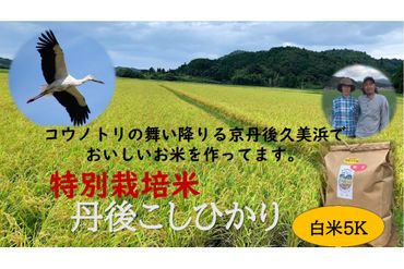 【定期便】白米５K×６か月　京丹後久美浜産　特別栽培米こしひかり KU00030