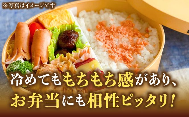 【先行予約】【令和7年産】福岡県産ブランド米「元気つくし」無洗米 10kg (5kg×2袋)【2025年11月以降順次発送】《築上町》【株式会社ゼロプラス】 [ABDD004]  