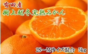 【濃厚・まろやか】有田産樹上越冬完熟みかん5kg（2S～Mサイズ混合・秀品）★2026年1月下旬頃より順次発送 BZ053