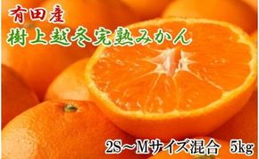 【濃厚・まろやか】有田産樹上越冬完熟みかん5kg（2S～Mサイズ混合・秀品）★2025年1月下旬頃より順次発送　BZ053