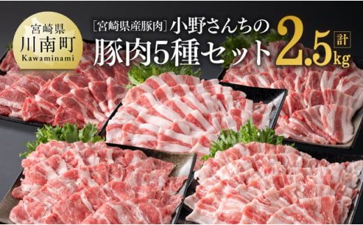 宮崎県産豚肉 小野さんちの"豚肉5種セット" 2.5kg[ 豚肉 豚 肉 宮崎県産 しゃぶしゃぶ 焼肉 セット 和洋中] [E10506]