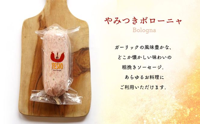 自家製ハム・ソーセージ専門店TESIO「手始めTESIO」セット（合計480g） 牛肉 豚肉 専門店 自家製 ドイツ製法 ソーセージ ウィンナー ウインナー ボローニャ モルタデッラ ハム お試し グルメ 朝食 おつまみ 手作り 食べ比べ 詰め合わせ 国産 沖縄県