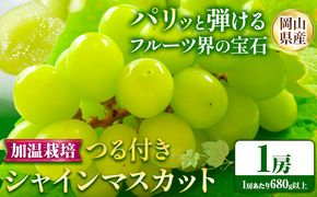 【先行予約】 岡山県産 加温栽培 つる付き シャインマスカット 1房 (680g以上) 【配送不可地域あり】 《7月上旬-8月下旬頃出荷予定》 岡山県 矢掛町 マスカット ぶどう 葡萄 果物---osy_chbf11_ak7_25_23000_1---