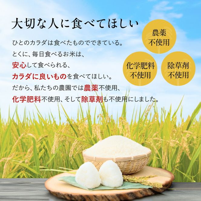 令和5年産 出口崇仁農園のコシヒカリ 有機栽培米【定期便6回】【白米5kg】世界に一つだけのお米 ※着日指定不可 ※離島への配送不可