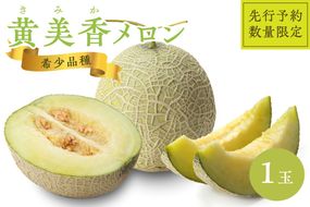 【先行予約／数量限定100】希少品種 黄美香（きみか）メロン 1玉（2026年7月下旬～発送） 国産 ギフト めろん 先行予約 期間限定 ふるさと 納税 フルーツ くだもの 果物　DE00174
