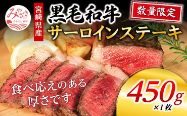 数量限定 宮崎県産黒毛和牛 サーロインステーキ 1ポンド 450g_M268-001