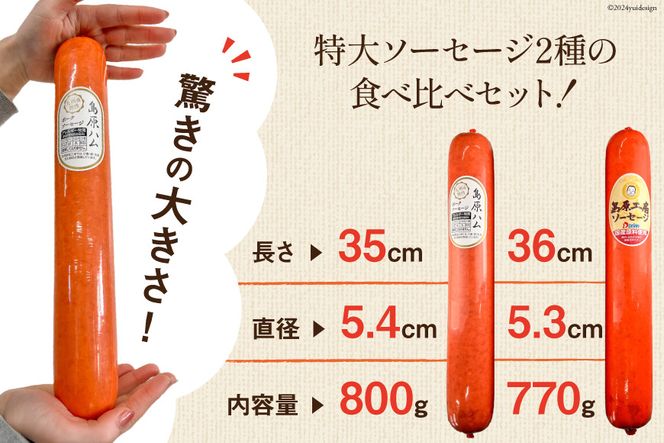 AI067 特大！ ソーセージ 2種5本 食べ比べ セット（島原ハムポークソーセージ800g×3本 島原工房ソーセージ770g×2本）[ ハム ソーセージ 肉 豚肉 おつまみ 国産 長崎県 島原市 ]