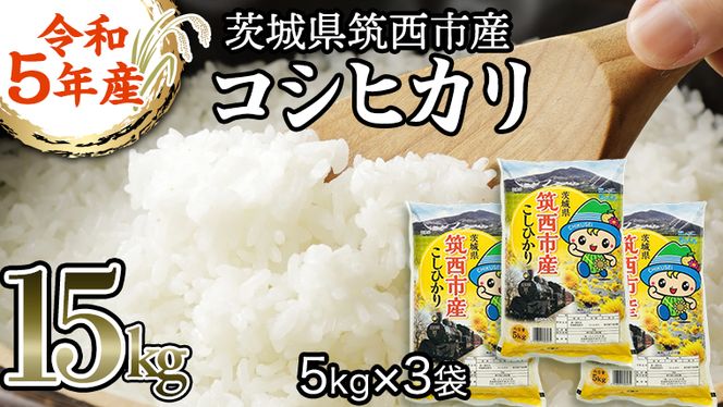 1月下旬精米　お米　コシヒカリ　15kg(5kg×3袋)　令和6年産 1月下旬精米 お米 コシヒカリ 15kg(5kg×3袋) 令和6年産