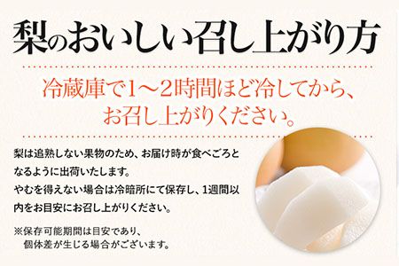 梨 完熟梨 ( あきづき 新高梨 新興梨 のいずれか) 約4.5-5kg (8～18玉) フルーツ 果物 旬 熊本県長洲町産 大渕観光梨園 《9月上旬-12月中旬頃出荷》フルーツ 梨 なし---sn_obcns_ae912_26_15000_5kg---
