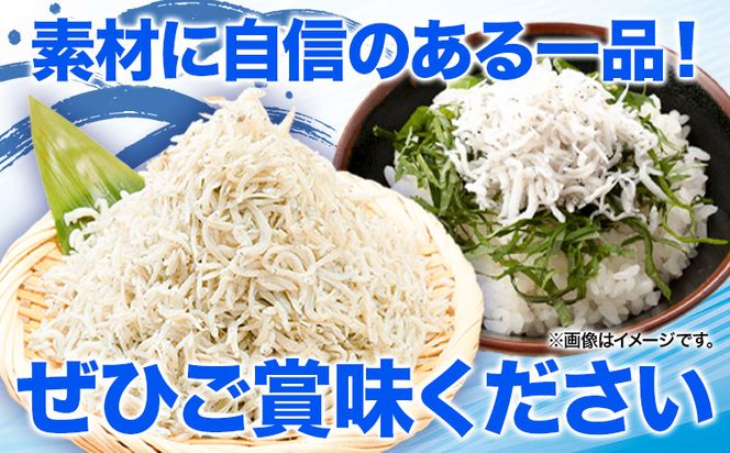 釜揚げ しらす 約600g (約300g×2) 株式会社はし長 《30日以内に出荷予定(土日祝除く)》 和歌山県 日高町 釜揚げ しらす---wsh_fhsn10_30d_23_17000_600g---