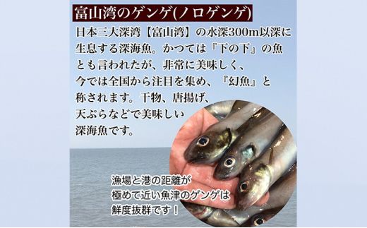 【富山湾深海魚】サク旨　ゲンゲの上干し×5袋（ゲンゲの干物） ハマオカ海の幸