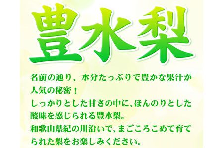 【先行予約】【令和7年発送分】和歌山県紀の川市産 の豊水梨 約4kg （約9玉～13玉）紀の川市厳選館 《2023年8月中旬-9月上旬頃出荷》 和歌山県 紀の川市 果物 フルーツ なし ナシ---wsk_gsk52_8c9j_24_19000_4kg---