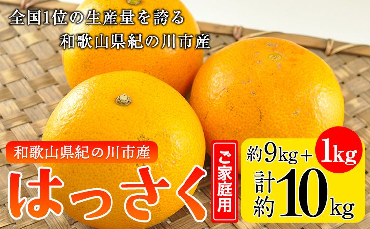 [訳あり/ご家庭用]先行予約 紀の川八朔 9kg+1kg 計約10kg サンファーム[1月上旬-3月末頃出荷]和歌山県 紀の川市---wsk_saf8_ac13_23_11000_10kg---