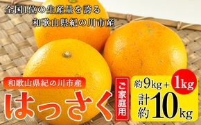 【先行予約】【訳あり/ご家庭用】先行予約 紀の川八朔 9㎏＋1㎏ 計約10㎏ サンファーム《1月上旬-3月末頃出荷》和歌山県 紀の川市---wsk_saf9_1j3m_25_11000_10kg---
