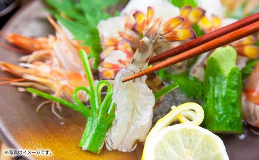 【指定日必須】天草産 活車海老 1000g（30～44尾入り）活き海老 車エビ【発送期間2025年11月5日から2026年3月31日】ご入金後から14日以降かつ配送期間内にて、寄付フォームの応援メッセージ欄に必ず配送希望日を記載ください