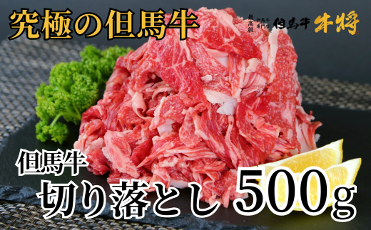 [但馬牛 切り落とし500g 冷凍 産地直送]発送目安:入金確認後1ヶ月程度 配送日の指定はできません。日本の黒毛和牛のルーツは香美町にあり 但馬牛は神戸牛、仙台牛、飛騨牛のルーツ牛です 大人気 ふるさと納税 牛肉 ステーキ しゃぶしゃぶ すき焼き 焼肉 ブランド 和牛 兵庫県 但馬 神戸 香美町 村岡 但馬牛専門店 牛将 02-02