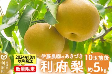 数量限定 利府梨（あきづき）5kg（10玉前後）|06_ine-010501