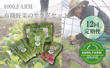 FV020_【12回定期便】6000.FARMの有機野菜のサラダセット/みやき町